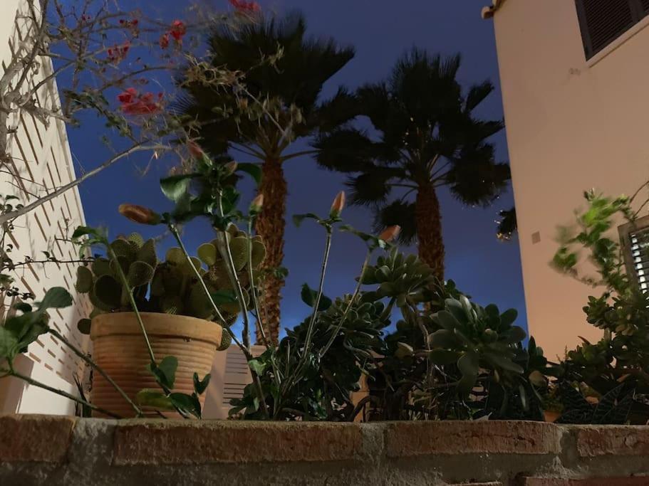 Villa Cinco Palmas Almerimar Exterior photo